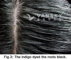 250305095930_Hair-Dyed with indigo-s.jpg